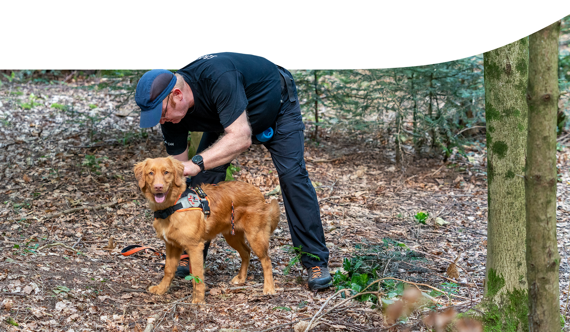 Photographie d'un exercice avec un chien de recherche et de sauvetage de l'association REDOG dans la forêt