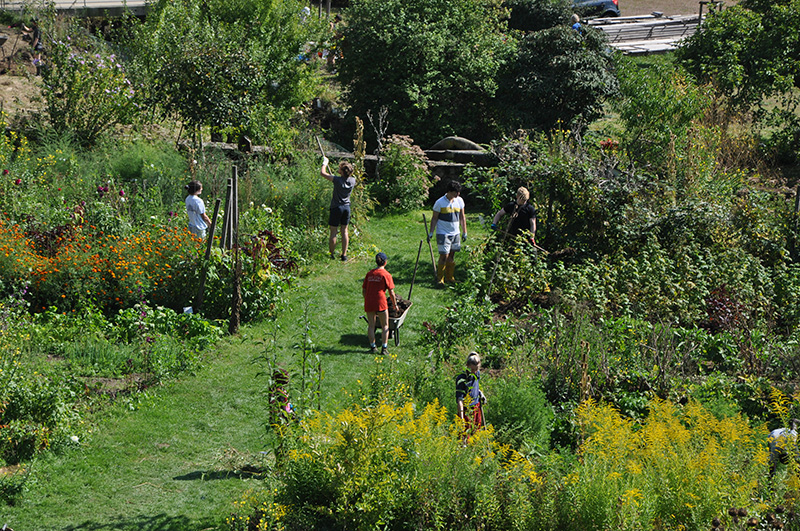 Photographie d'étudiants dans un jardin