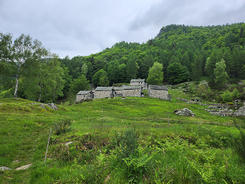 Photographie du paysage agricole et forestier à Moghegno