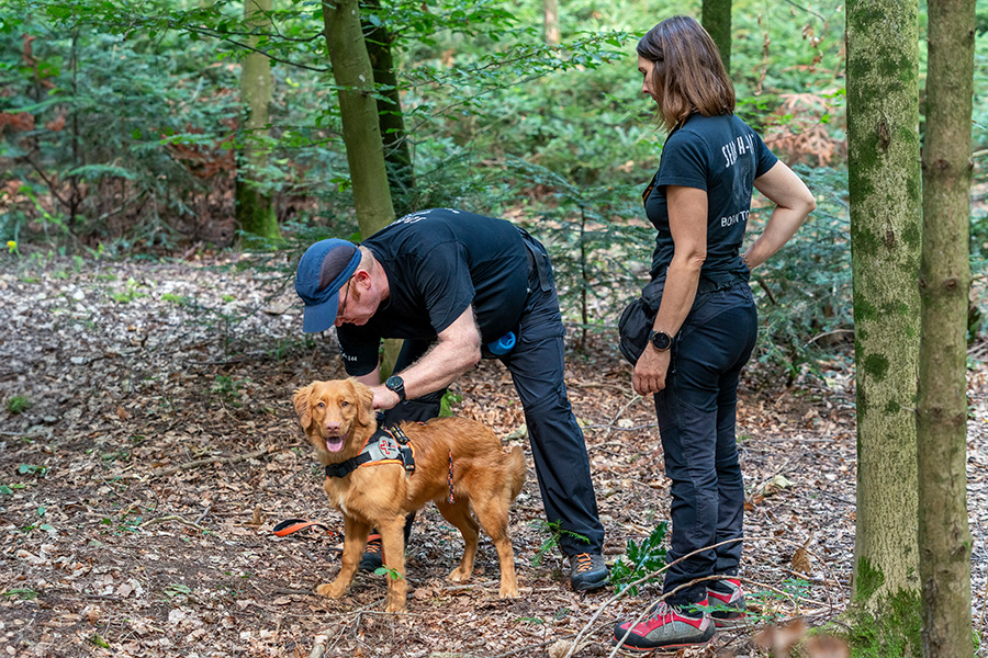 Fotografie einer Übung mit einem Such- und Rettungshund des Vereins REDOG im Wald